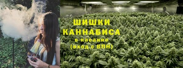 Альфа ПВП Белокуриха