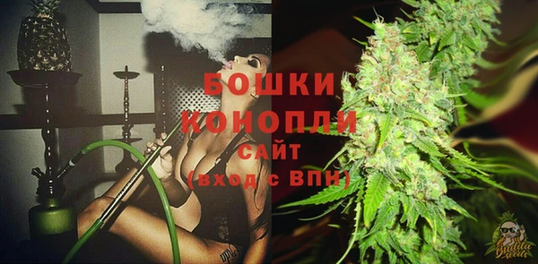 Альфа ПВП Белокуриха