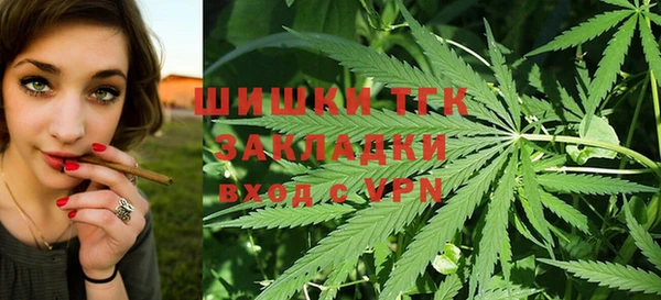 Альфа ПВП Белокуриха