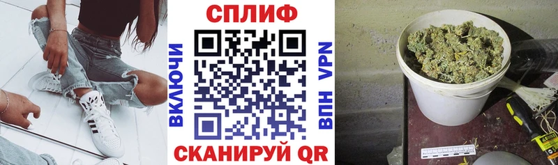Канабис конопля сколько стоит Городовиковск